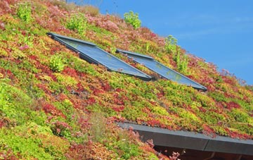 Ecklands living roof systems